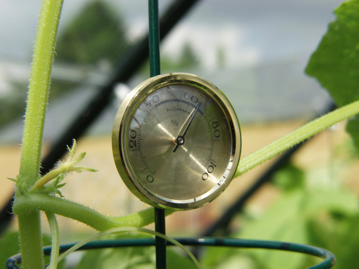 Hygrometer Växthus Ø45 mm Vitavia